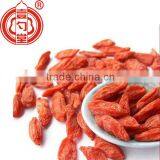 Organic dried goji berries good for our health