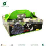 Grape Fruit Handle Packaging Box thumbnail-1
