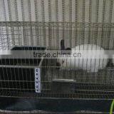 3 / 4 Tiers Commercial Rabbit Cage / Commodity Rabbit Cage thumbnail-2