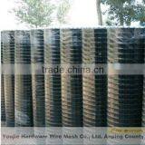 3/8" Pvc Coated Welded Wire Mesh (20 Years of Manufacturer)