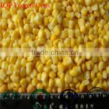 IQF sweet corn kernels mige variety price