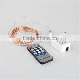Remote Control Copper Silver Wire LED Christmas String Lights