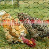 Lobster Mesh 1mX25m;chicken Wire Mesh