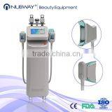 Fat Freezing Hottest Sale Product!!!! Weight Loss Cavitation Rf Slimming Keyword Cryolipolysis Beauty Machine Fat Reduction thumbnail-5