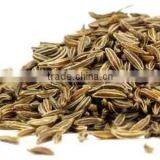 Cumin Seeds thumbnail-2