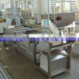 Vegetable and Fruit Cleaning Machine