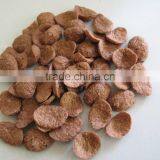 Breakfast Cereals Process Line Corn Flakes Making Machine - Jinan DaYi Extrusion Machinery thumbnail-2