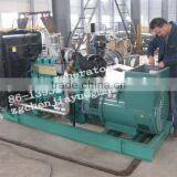 Auto Start Diesel Generator thumbnail-1