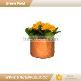 Bulk Sale Washable Paper Storage Bag,decorative Washable Paper Storage Bags thumbnail-3