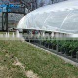 Plastic Film Covered Economic Tunnel Greenhouse For Agricultural Planting thumbnail-5