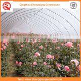 China Supplier Multi-span 8.0m PE Film Agriculture Greenhouse Plastic for Sale thumbnail-1