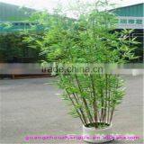 SJLJ013432 Artificial Plant and Tree / Fake Plastic Bamboo for Garden Fence Decoration thumbnail-3