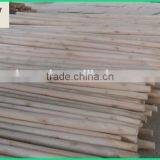 Eucalyptus Wooden Snow Shove Handle thumbnail-4