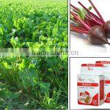 Esteemed Yeast Factory of Low Sugar and High Sugar Swelling Instant Dry Yeast China Supplier thumbnail-6