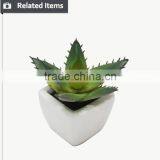 Customized Design Sweet Desert Rose for Table Decoration thumbnail-3