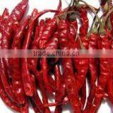 dried red chillies