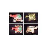 ONYX TURTLE thumbnail-1