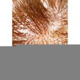 Sell Men's Hairpiece thumbnail-1