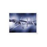 Barbed Fence Wire thumbnail-2