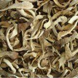 Dried Edible Mushroom Fungus Oyster Mushroom