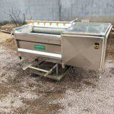 Cxj-2 Fruit Washing Tomato Washing Machine