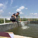 3MSS/4MSS 1hp Submersible Water Pump Motor Pump 24 Volt Bomba de Agua Solar thumbnail-4