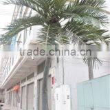 Artificial High Imitation Palm Tree,fake Outdoor Tree