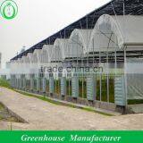 Large Green House Supplliers In China thumbnail-1