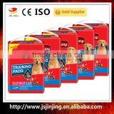 Puppy House Training Wee Dog Pee Pad thumbnail-1