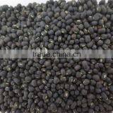 Black Gram Processing Unit Machine in India Quality Choice