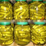 PICKLED CUCUMBER FOR SALE NOW_ GOOD QUALITY