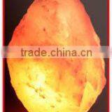 Himalayan Natural Salt Lamp 600-700 kg