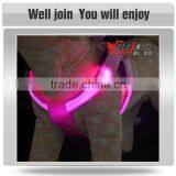 Factory Sale Various Dog Training Collar thumbnail-2