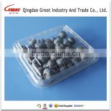 Clear Transprate Plastic Fruit Packaging Container for blueberry