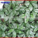 2013 Factory Fence Top 1 Chain Link Fence Hedge Weaving Fence
