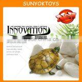 2013 New Toys! 4CH RC Infrared Mini Tortoise Toys,rc Animal