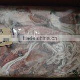 FROZEN SQUID LOLIGO WHOLE thumbnail-6