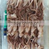 Squid Tentacle thumbnail-2