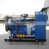 2014 NEW PRODUCT!!40kw Gas Generator Set