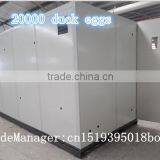 30000 Eggs Large Capacity Automatic Chicken Egg Incubator for Eggs thumbnail-4