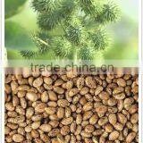 250-350 Kg/hour Castor Shelling Peeling Machine