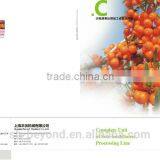 Sea Buckthorn Fruit Juice Processing Line