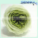 Fresh Rose High Quality Natural Preserved Austin Roses For Sale thumbnail-5