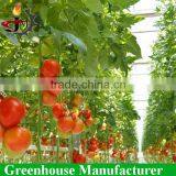 High Qualitysolar Powered Greenhouse With Hyroponic System thumbnail-2