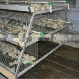 9WCD-3198 A-type Hot Galvanized Pullet Types of Poultry Cage