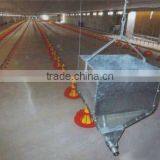 Plane-raising Henhouse