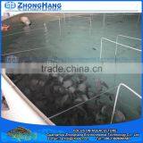 Intensive Fish Growing Systems