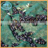 HDPE Olive Harvest Netting for Sale
