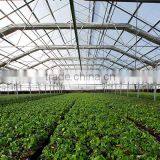 Commercial Greenhouses China thumbnail-1