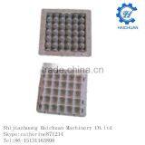 Customized Plastic Egg Carton Mould thumbnail-1